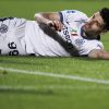 taremi inter