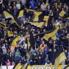 vitesse arnhem kibice