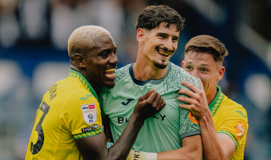 vladan kovacević norwich city