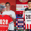 gwiazdy w psv synowie