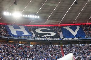 hsv kryzys
