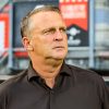 van den brom
